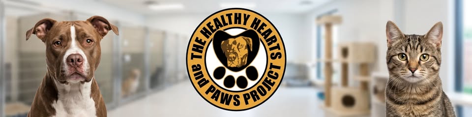 Dog Shelter Volunteer Orientation