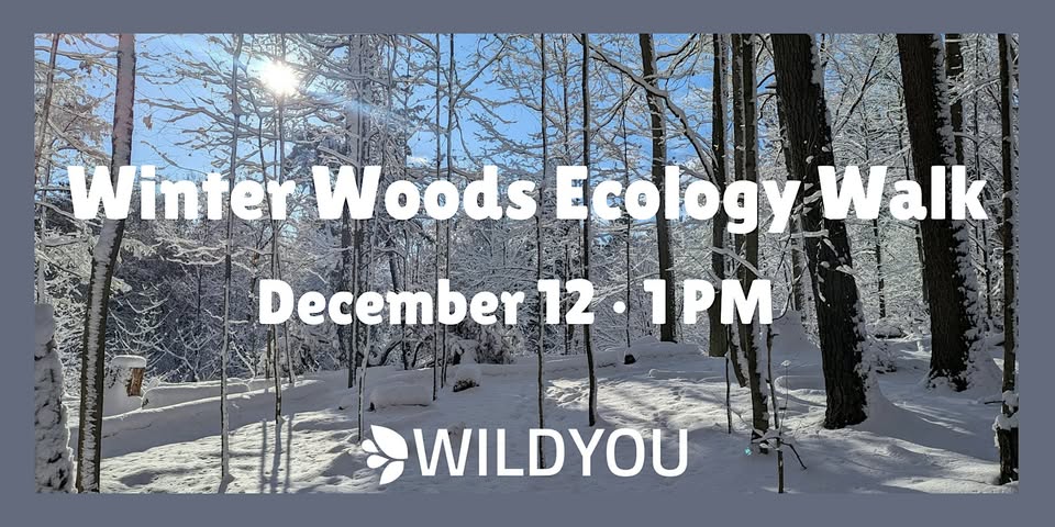 Winter Woods Ecology Walk