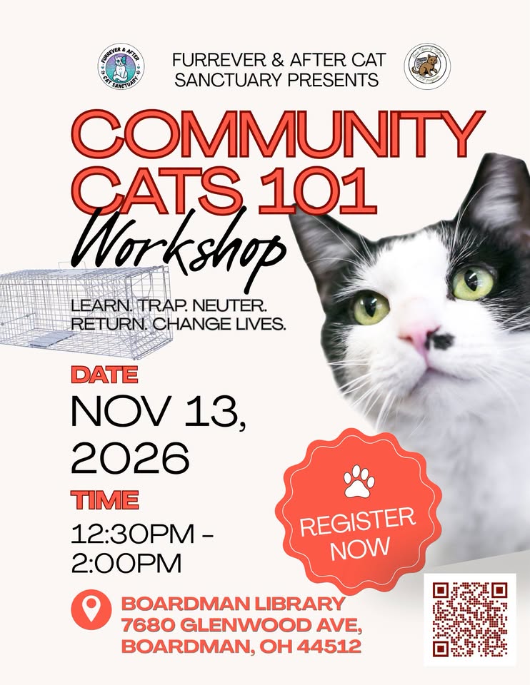 Community Cats 101: Free TNR Workshop