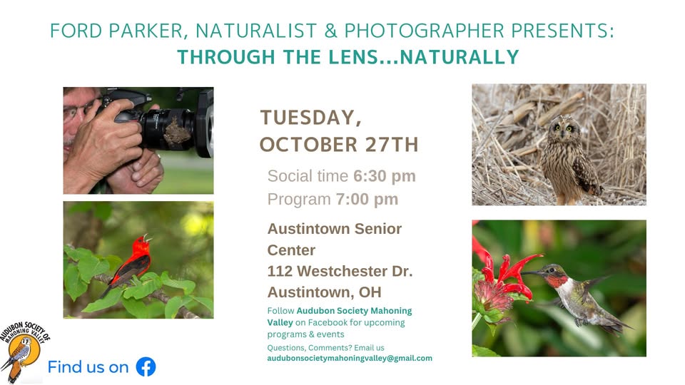 Through the Lens...Naturally with Ford Parker